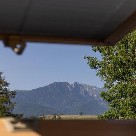 Apartamenty U Anusia Закопане Экстерьер фото
